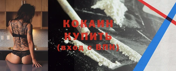 шишки Арсеньев