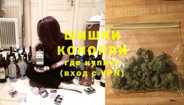 PSILOCYBIN Аркадак