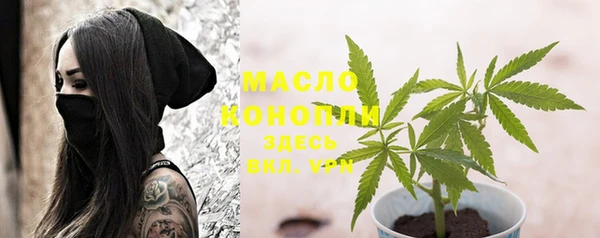 дмт Алексин