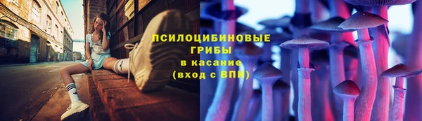 шишки Арсеньев