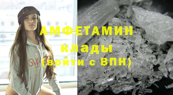 шишки Арсеньев