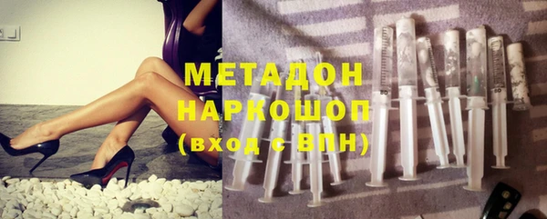 шишки Арсеньев