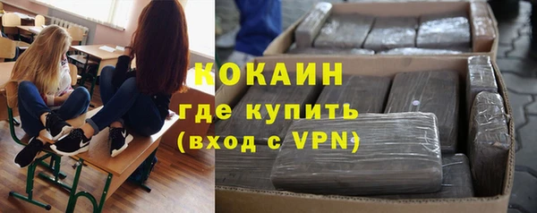 шишки Арсеньев